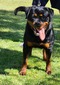 Arya von der Law
